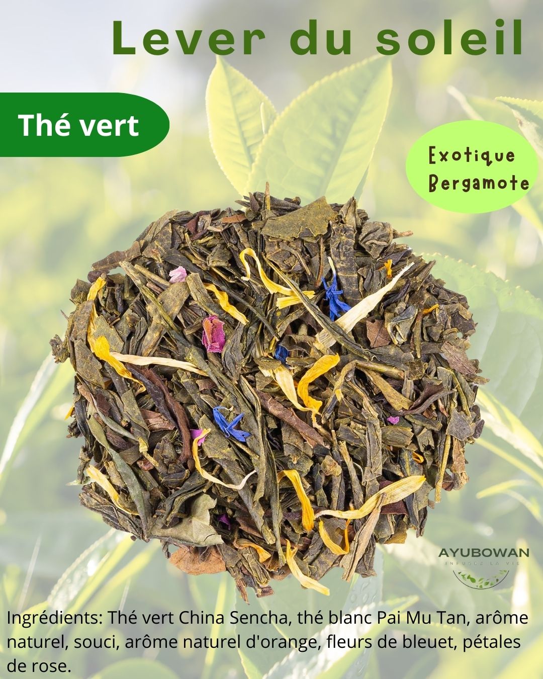 Thé vert lever du soleil - Ayubowan
