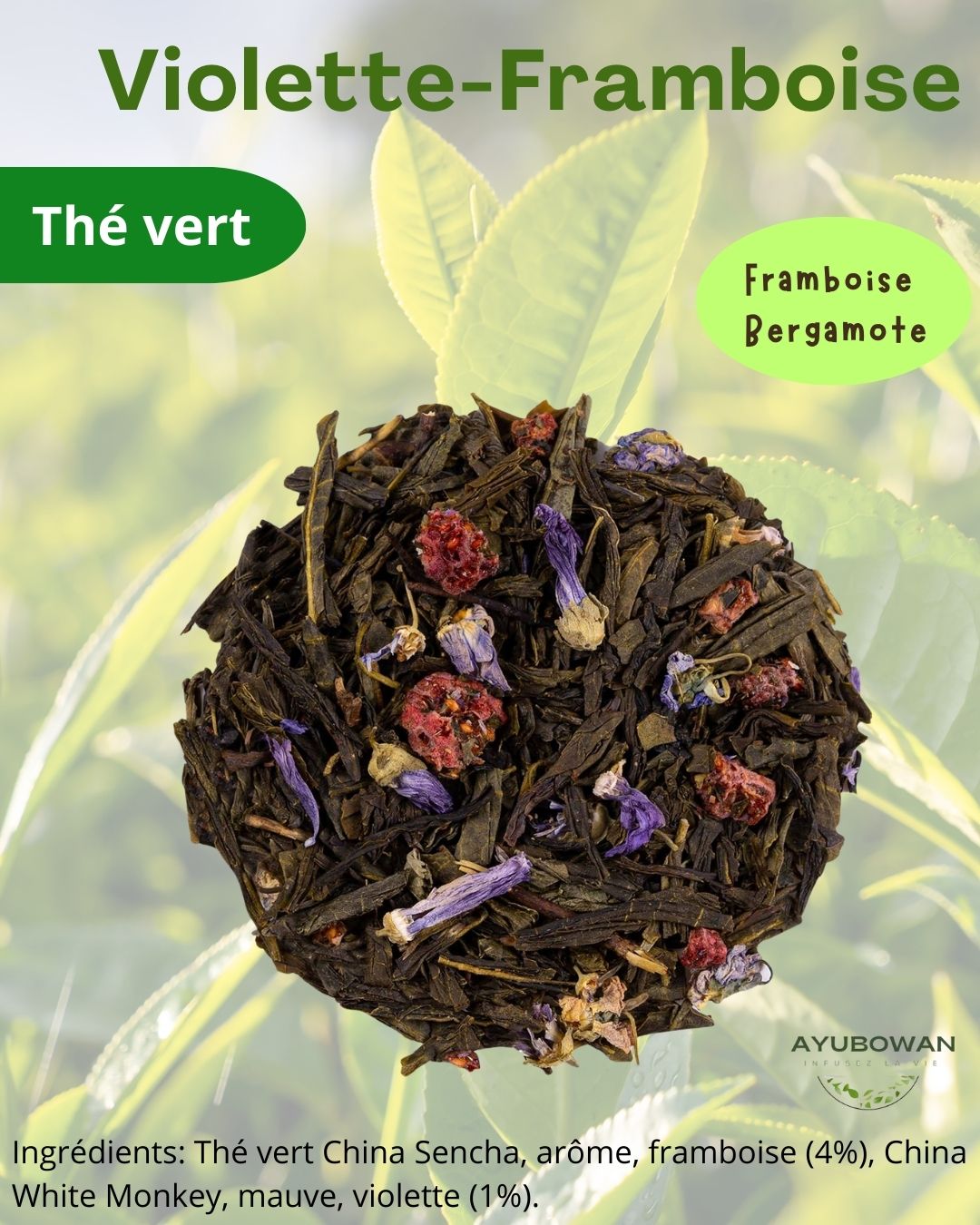 Thé vert violette framboise - Ayubowan