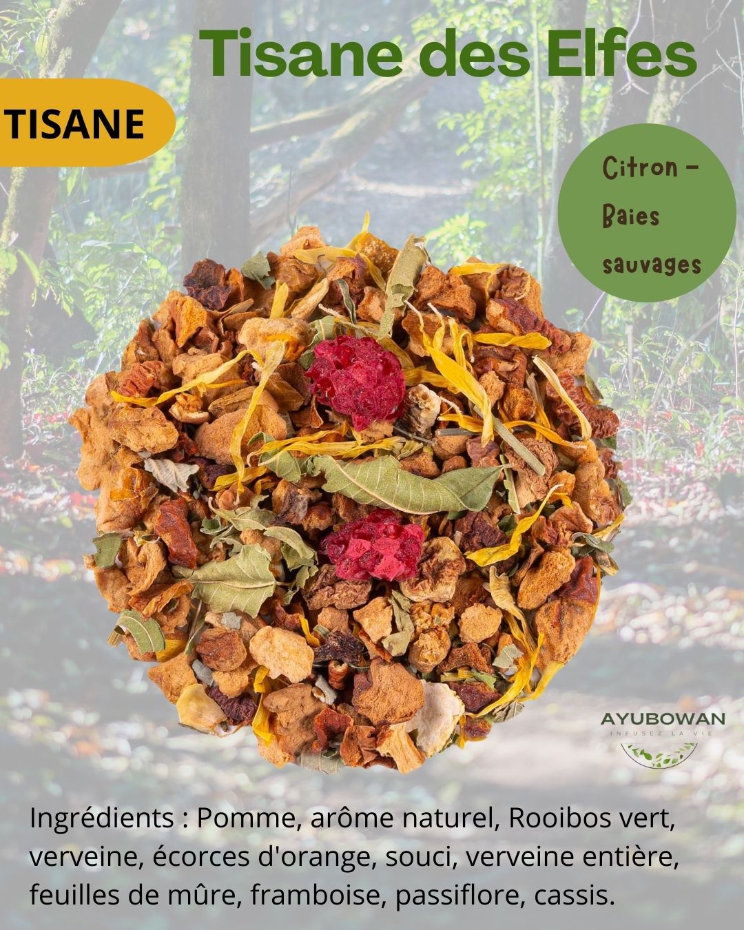 Tisane des elfes - Ayubowan